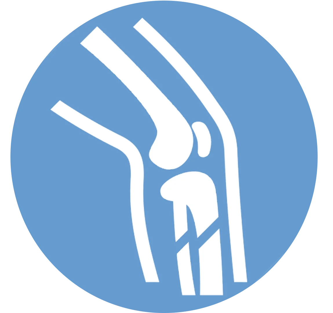 ORTHOPEDIC